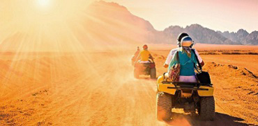 Quad Bikes 